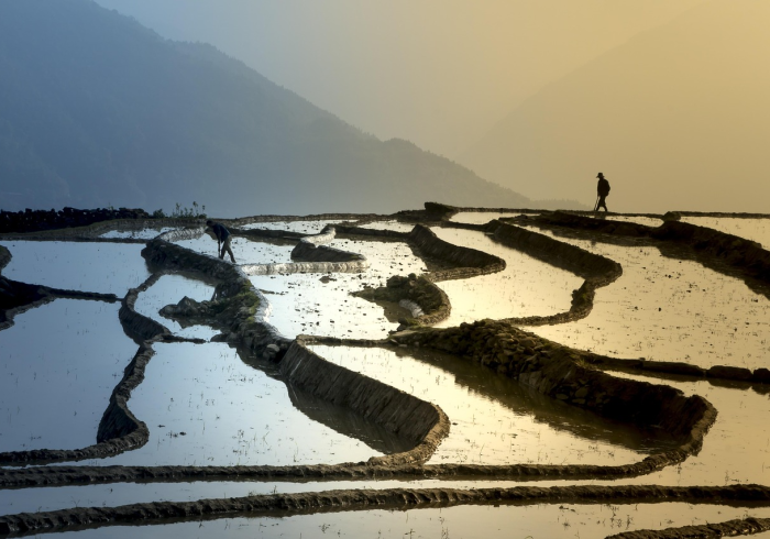 清明时节话清明，4月5日背后的文化记忆与生命哲思
