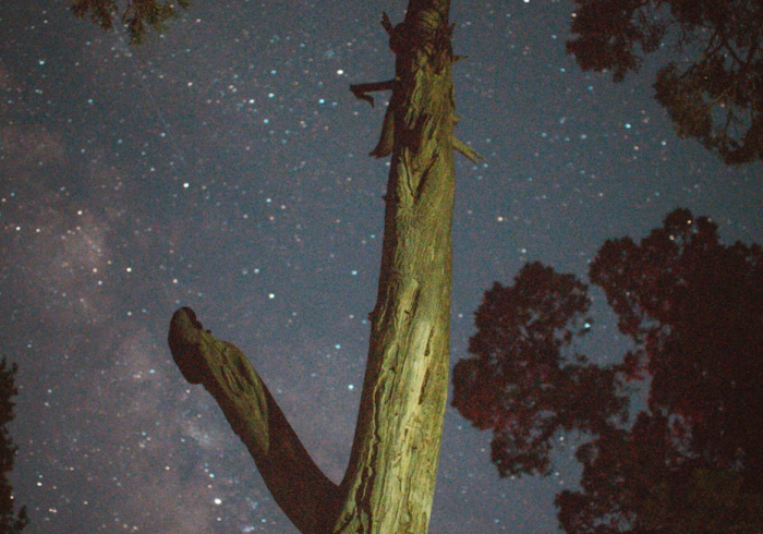 当麦门成为暗号,2021麦当劳套餐如何重塑我们的日常 当麦门成为暗号,2021麦当劳套餐如何重塑我们的日常