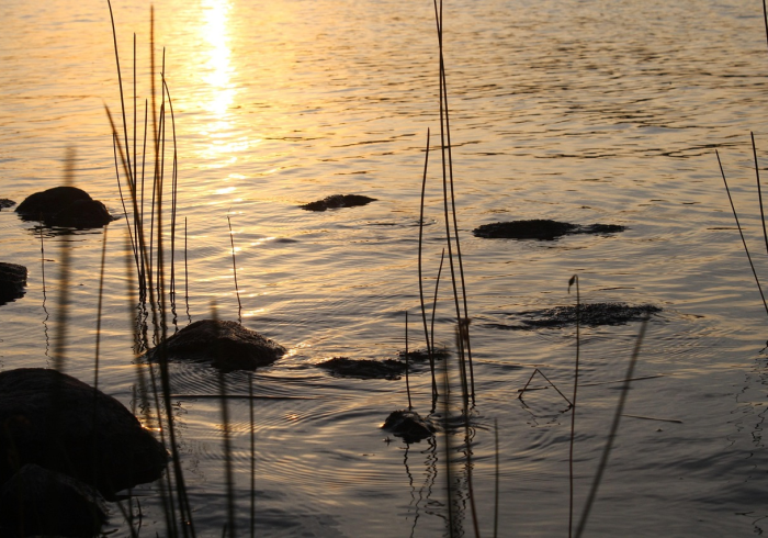 清明时节寄哀思—2021年清明假期安排与思考 清明时节寄哀思—2021年清明假期安排与思考