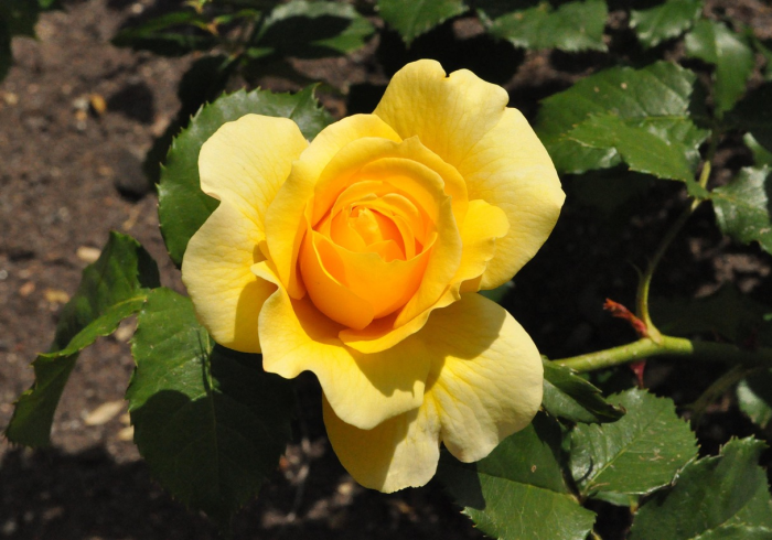 湖南新冠疫情最新消息，今日动态与广西联防联控的启示