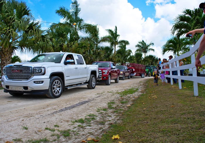 五菱新能源皮卡车大全,实用与创新的完美结合,开启绿色出行新时代 五菱新能源皮卡车大全,实用与创新的完美结合,开启绿色出行新时代