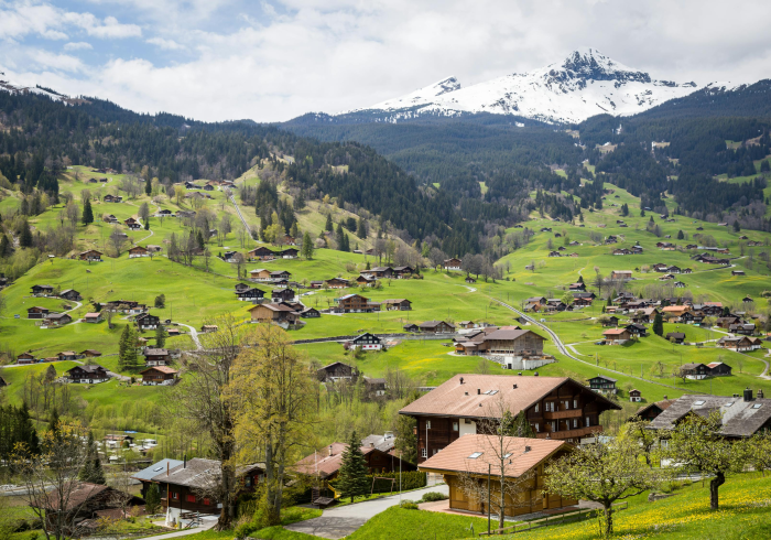 安福县绿色通道，返乡人员的温情驿站与乡村振兴的活力动脉