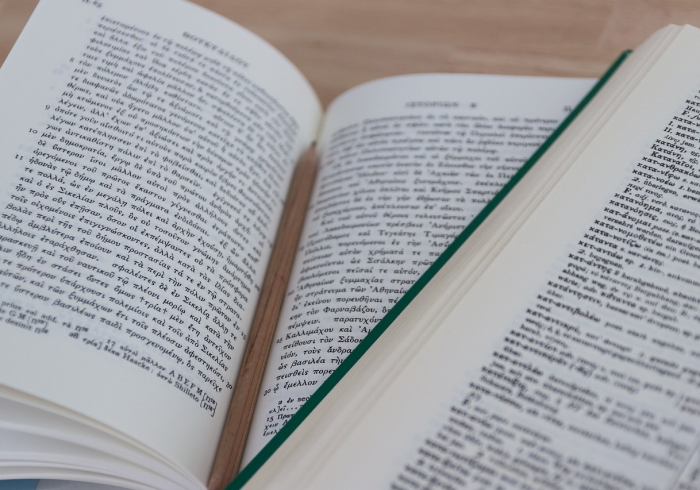 成都一传十现象，城市韧性、集体自觉与治理智慧的深度考验