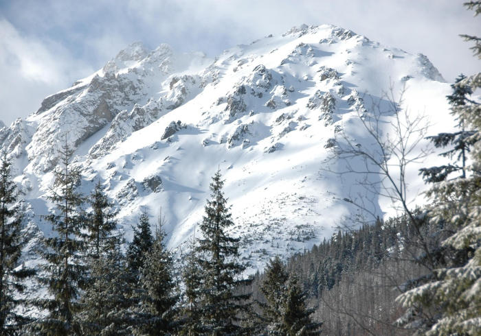 玩家必备教程“皇豪互娱在哪里买房卡”房卡怎么购买 玩家必备教程“皇豪互娱在哪里买房卡”房卡怎么购买