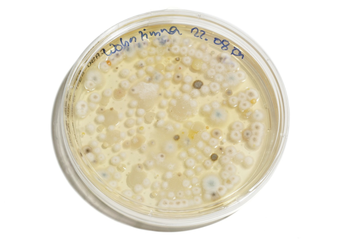 一分钟实测分享“皇豪互众在哪买房卡”房卡链接获取 一分钟实测分享“皇豪互众在哪买房卡”房卡链接获取