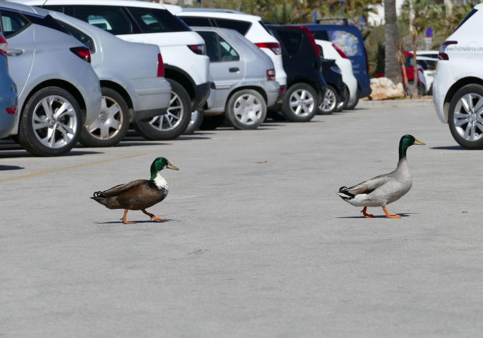 西安本土病例溯源，一场与时间赛跑的流调战争