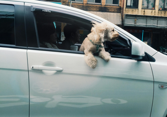 国产燃油车哪个品牌好？一场关于好的深度思辨