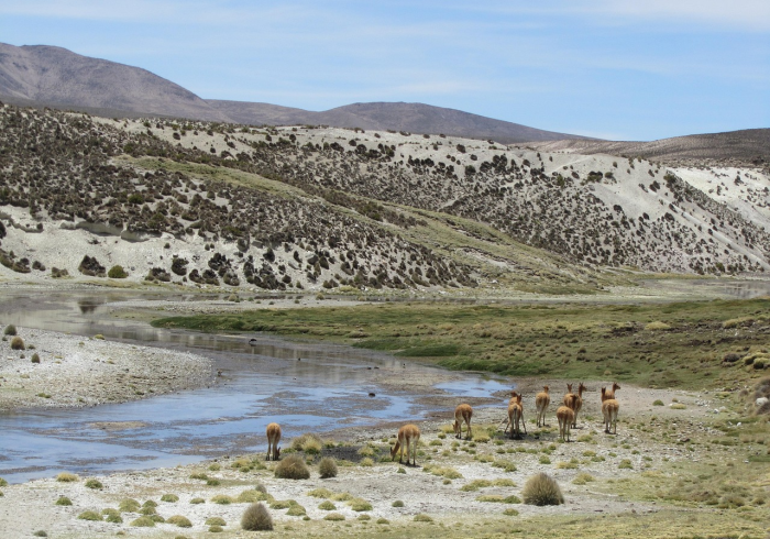 张家界疫情，始于何时，又给我们留下了什么？