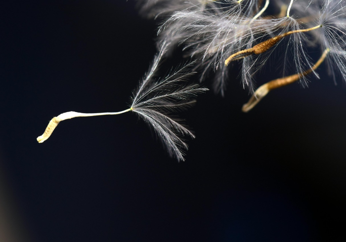 饿鬼哪里有?回首之际,灯火阑珊处,那焦灼的影子,或许正与我们的身形缓缓重叠。而觉醒与救赎之机,也恰在此一念照见之中 饿鬼哪里有?回首之际,灯火阑珊处,那焦灼的影子,或许正与我们的身形缓缓重叠。而觉醒与救赎之机,也恰在此一念照见之中