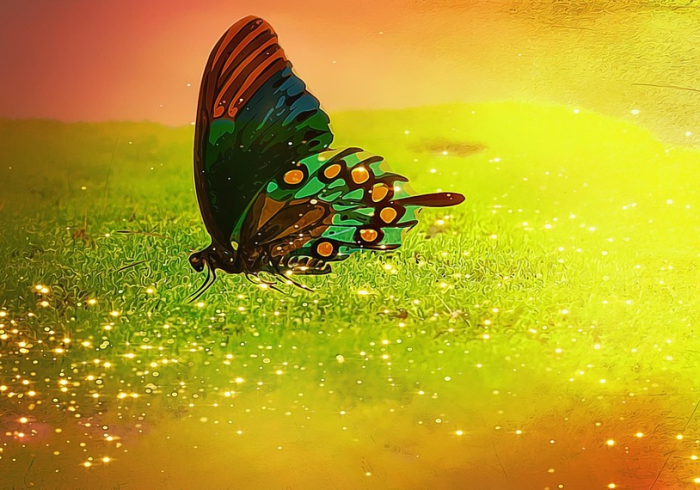 一枚机油格的身份证，揭秘14款丰田威驰1.5L的养护密码