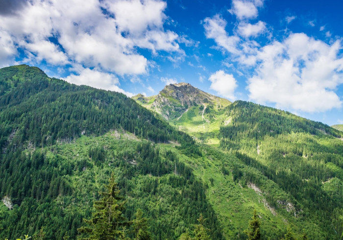 舟山战疫，千岛之城的坚韧与微光