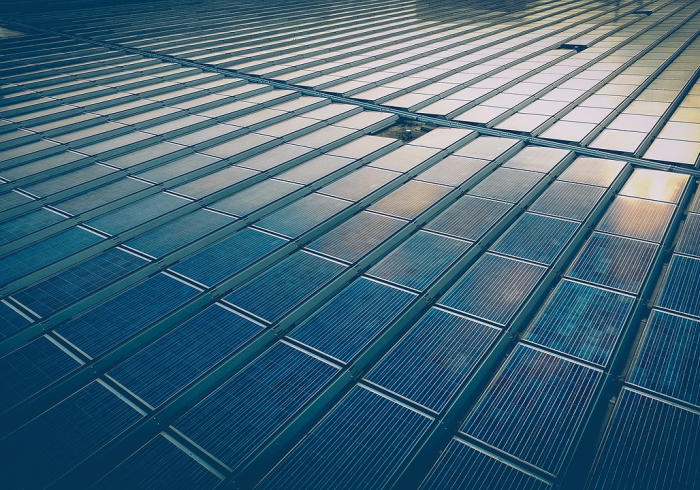 国内确诊多例，平静水面下的暗流与我们的集体韧性