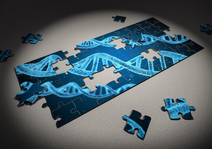 西安启动核酸检测,一座古城的科学战疫与人文坚守 西安启动核酸检测,一座古城的科学战疫与人文坚守