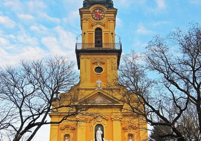 浙江疫情最新消息8月9号，精准防控下的动态清零新实践