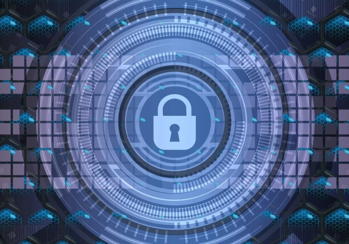 失落的拓片,深圳朴石与一场被遗忘的文明打捞 失落的拓片,深圳朴石与一场被遗忘的文明打捞