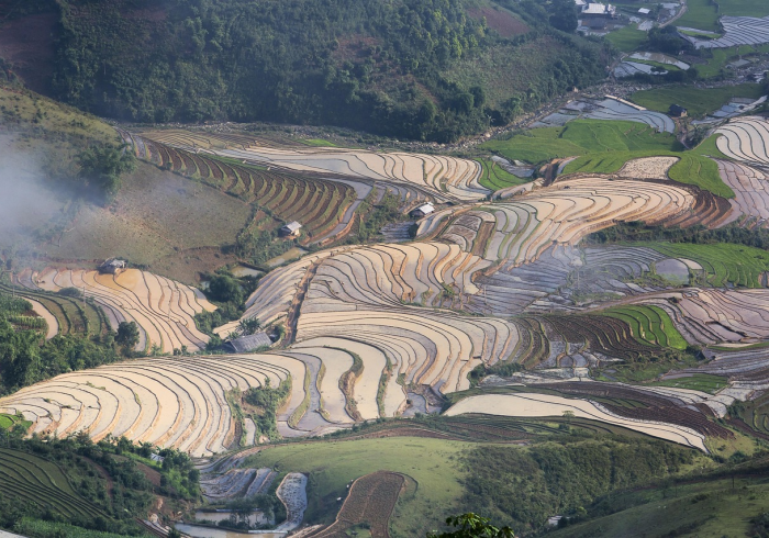 被洪水冲刷出的中国西北生态密码 被洪水冲刷出的中国西北生态密码