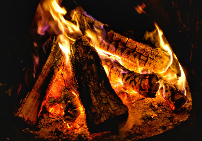 疫情播报视频,信息洪流中的灯塔与迷雾 疫情播报视频,信息洪流中的灯塔与迷雾