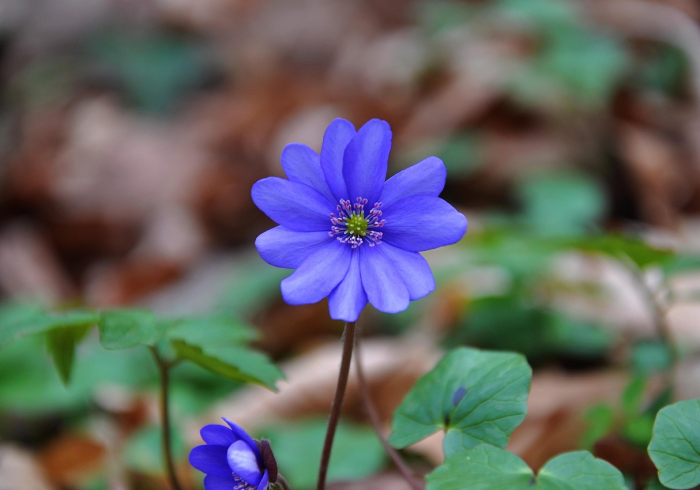 嘉兴疫情动态，一座江南水乡的韧性抗疫与人文温度