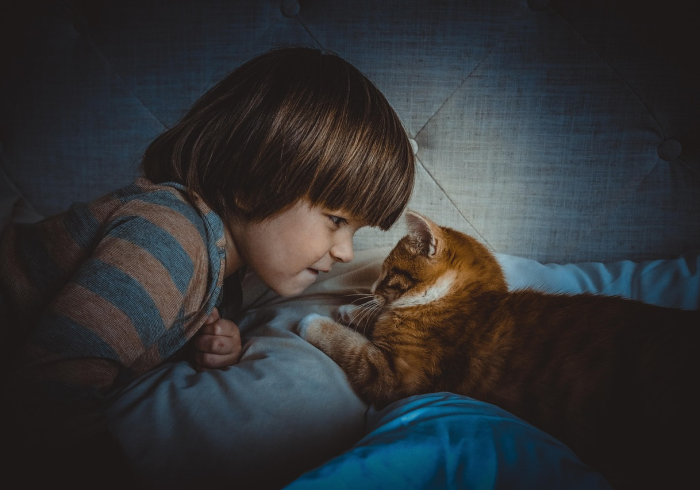 扬州毛老太事件，谣言的疯狂与真相的坚守