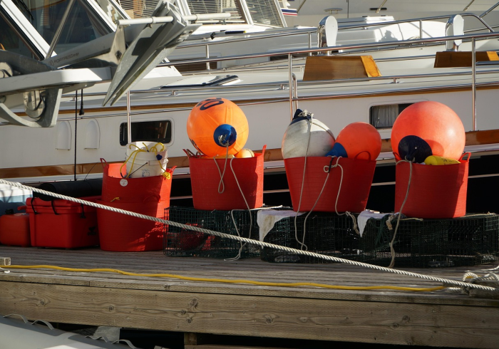 北京疫情动态,精准防控下的坚韧与希望 北京疫情动态,精准防控下的坚韧与希望