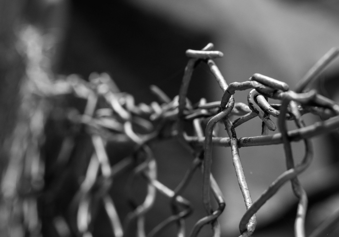 大连隔离人员名单,数字时代下的隐私与公共安全边界 大连隔离人员名单,数字时代下的隐私与公共安全边界