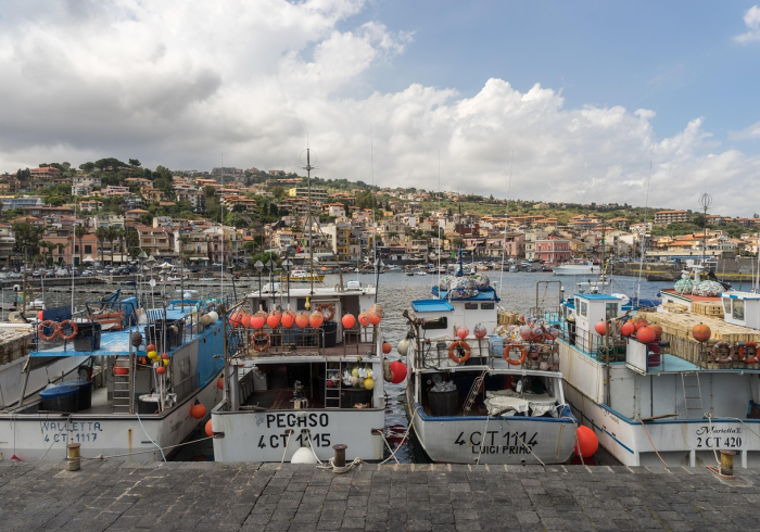 保定疫情最新情况今天，坚守中的城市脉搏