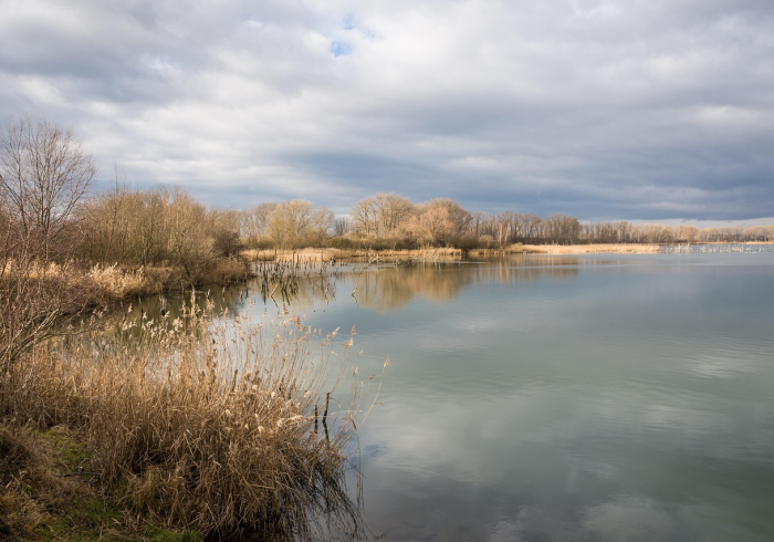 给大家讲解“新蜜瓜大厅在哪买房”轻松获取房卡全渠道 给大家讲解“新蜜瓜大厅在哪买房”轻松获取房卡全渠道