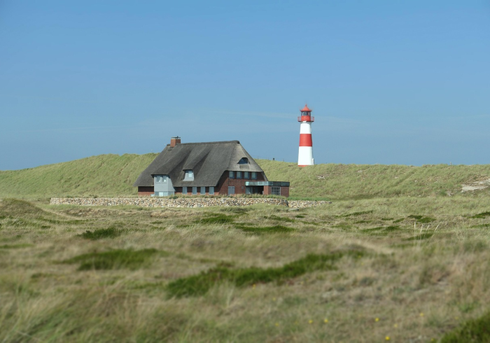 刑辩暗夜里的灯塔,日照优秀律师如何守护司法公正的最后防线 刑辩暗夜里的灯塔,日照优秀律师如何守护司法公正的最后防线