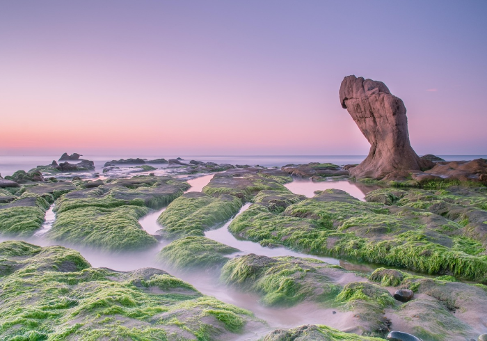 杭州新冠,一座千年古城的战疫纪年 杭州新冠,一座千年古城的战疫纪年