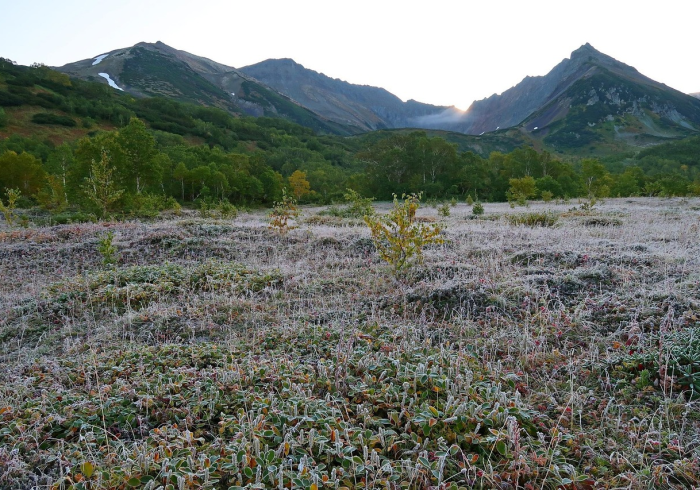 房卡必备教程“创建微信斗牛链接房卡怎么弄”房卡使用教程