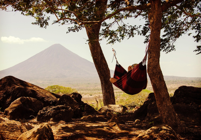 千奇百怪,在怪中看见世界的丰饶与人的温度 千奇百怪,在怪中看见世界的丰饶与人的温度