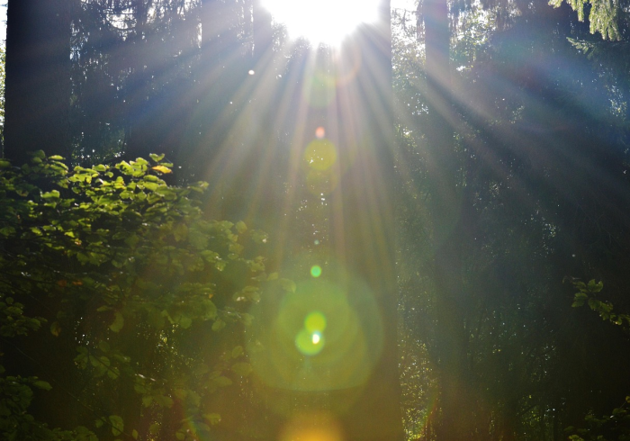 QQ仙灵,一场被遗忘的像素仙侠梦 QQ仙灵,一场被遗忘的像素仙侠梦