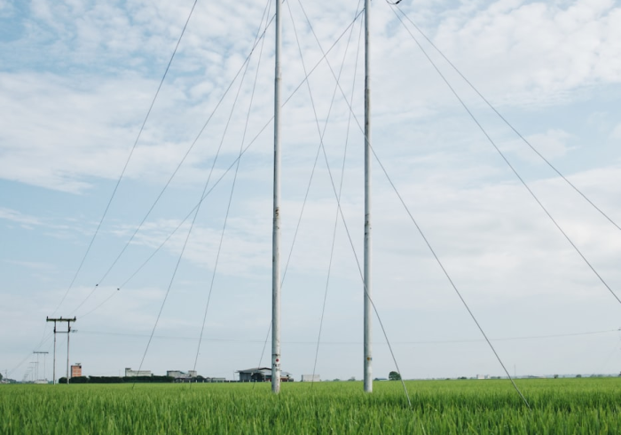 2025年8月股市行情分析,结构性分化加剧,科技与绿色能源引领新周期 2025年8月股市行情分析,结构性分化加剧,科技与绿色能源引领新周期