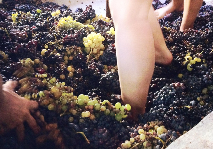 冠状病毒家族,不止新冠,已知七类可感染人类的潜伏者 冠状病毒家族,不止新冠,已知七类可感染人类的潜伏者