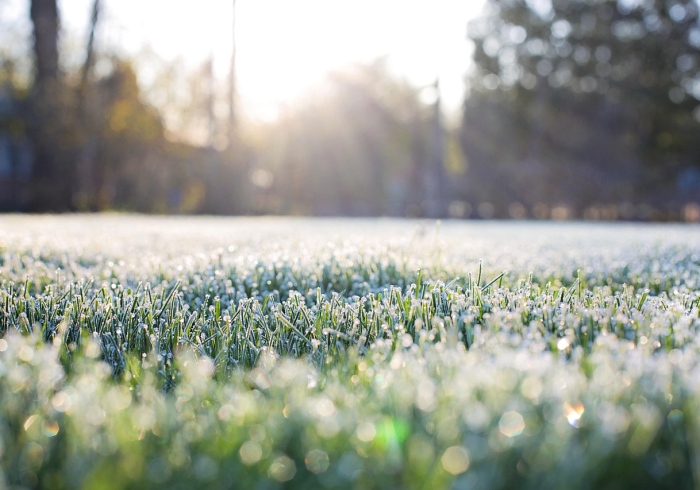 端午何日,当古老节气撞上现代计时 端午何日,当古老节气撞上现代计时