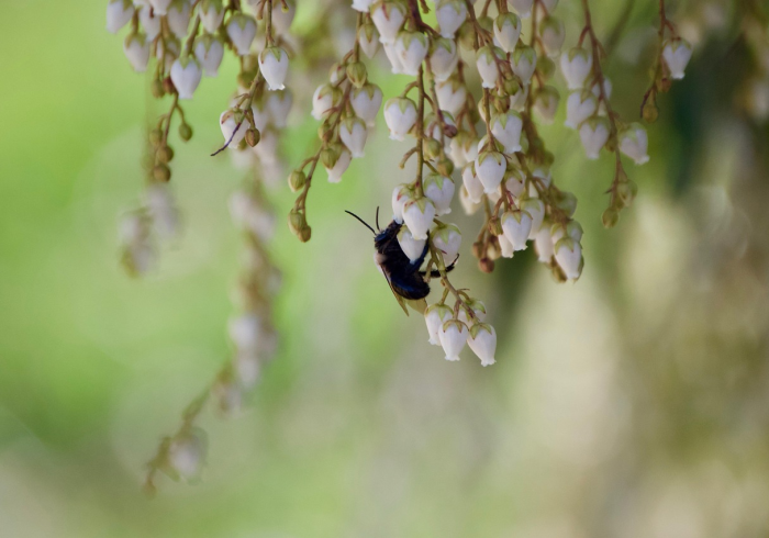 江苏疫情风险区动态地图,风险等级如何划定,我们如何应对? 江苏疫情风险区动态地图,风险等级如何划定,我们如何应对?