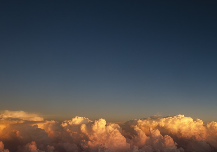 上海圆通网点查询,数字化时代下的物流神经末梢 上海圆通网点查询,数字化时代下的物流神经末梢