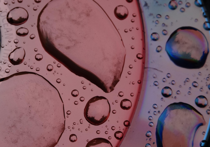 阳性会不会传染，科学认知与社会责任的交汇点