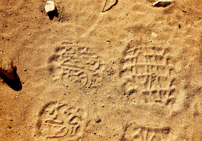 无声的警钟，北京朝阳区新增病例背后的全民健康长征