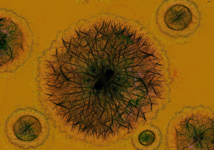 医院惊现奔跑者,新型冠状病毒变异株的警报与反思 医院惊现奔跑者,新型冠状病毒变异株的警报与反思