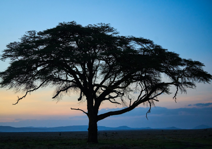 非必要不外出,家的边界与归途 非必要不外出,家的边界与归途