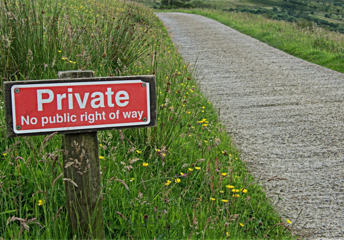 指尖上的秩序,深圳交通违章查询系统如何重塑城市文明肌理 指尖上的秩序,深圳交通违章查询系统如何重塑城市文明肌理