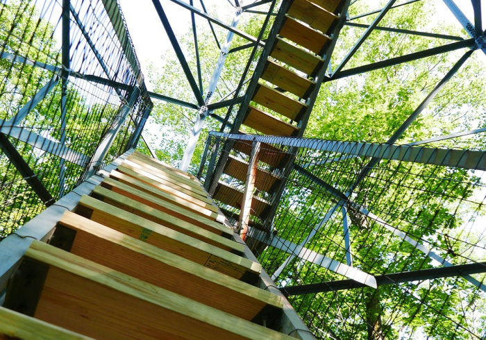 玩家必备教程“微信牛牛群房卡哪里买”轻松获取房卡全渠道 玩家必备教程“微信牛牛群房卡哪里买”轻松获取房卡全渠道