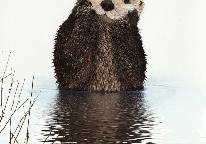 无声的涟漪，当15不再只是数字