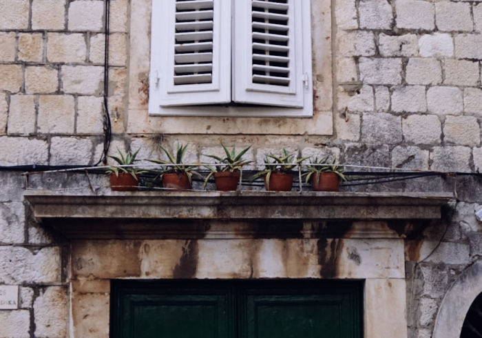 一分钟了解“新道游大厅拼三张金花房卡”详细房卡教程 一分钟了解“新道游大厅拼三张金花房卡”详细房卡教程