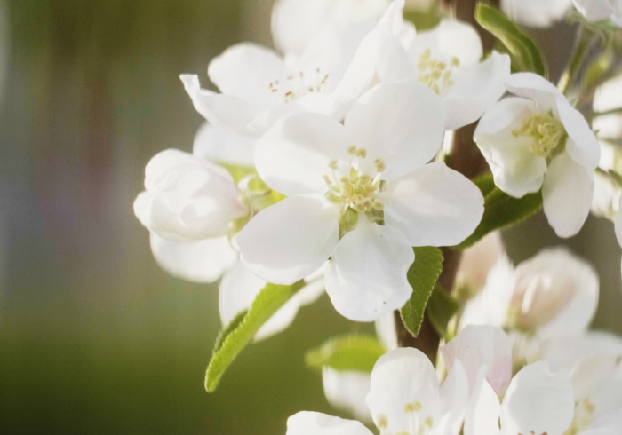 成都疫情中高风险地区最新名单查询,动态清零下的信息透明与城市温度 成都疫情中高风险地区最新名单查询,动态清零下的信息透明与城市温度