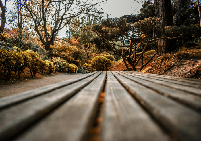 10月10日上海，一座城市的韧性刻度