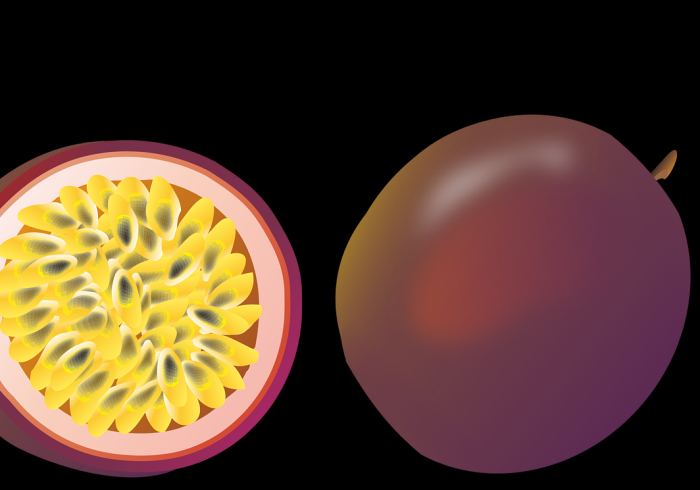 玩家必备教程“大圣金花房卡怎么获取”获取房卡教程-哔哩哔哩