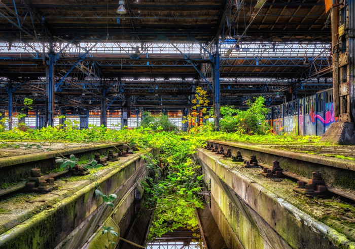 被遗忘的核酸亭,城市记忆的沉默路标 被遗忘的核酸亭,城市记忆的沉默路标