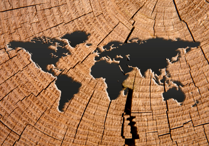 地图上的枣强,从羊皮纸到数字网格的千年叙事 地图上的枣强,从羊皮纸到数字网格的千年叙事